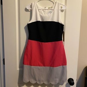 NWT dress size medium